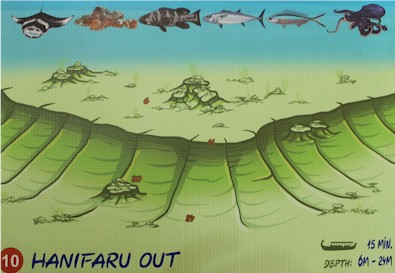 Hanifaru Out